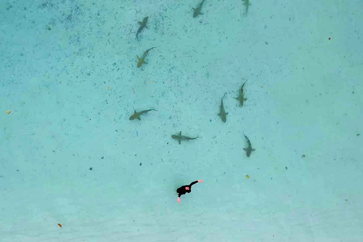 Incontri a Raja Ampat